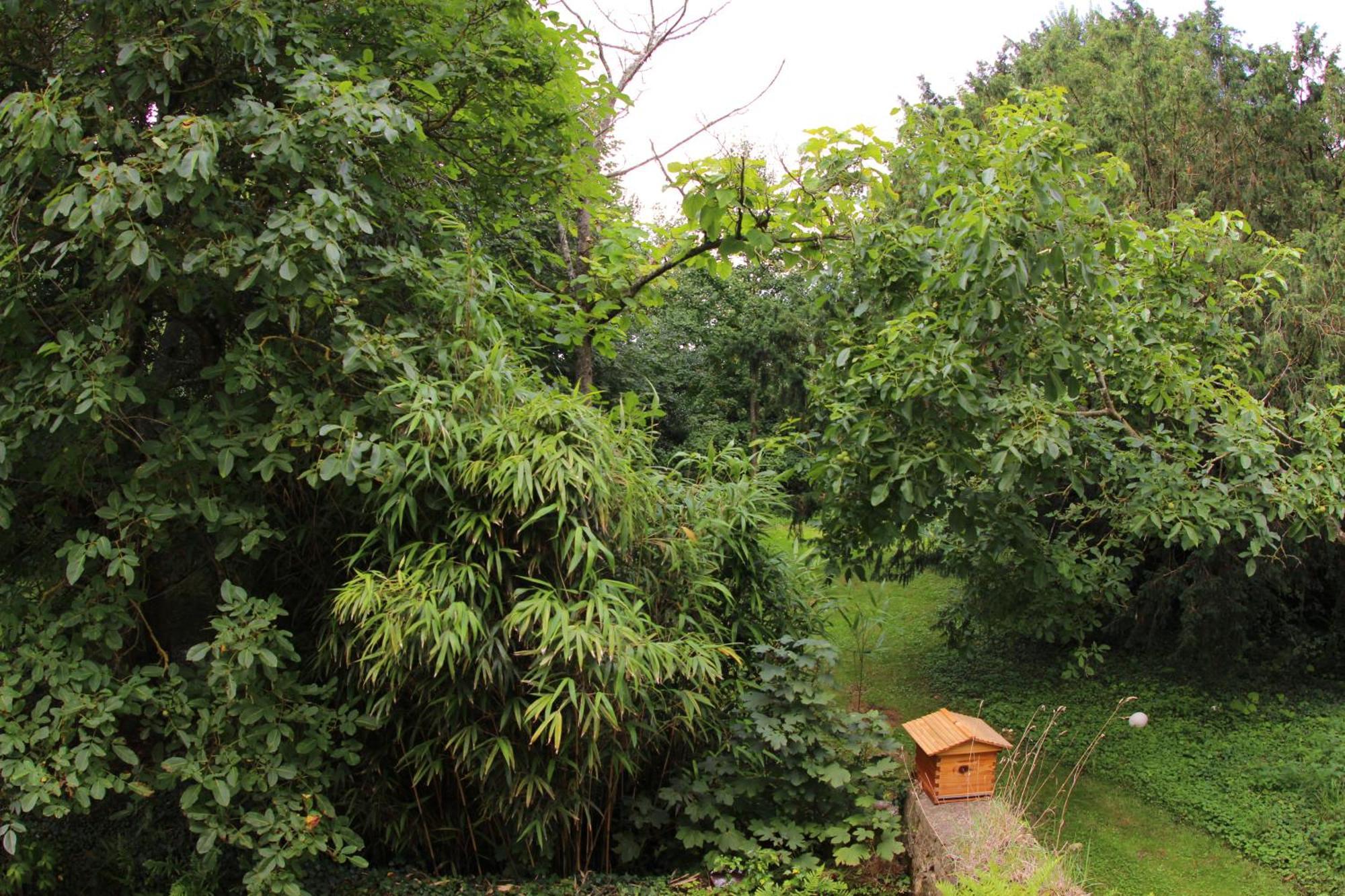Chateau De Flottemanville Phòng bức ảnh
